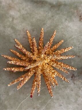 Vintage Signed Marcel Boucher 9041 P Mid Century Star Burst Pin Brooch